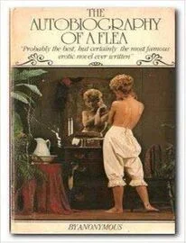 Autobiography of a Flea 1976 Free Jav HD Streaming